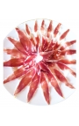Jamón Cebo de Campo 100% Ibérico "Jamonear"