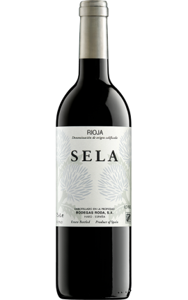Roda Sela 2019 MAGNUM