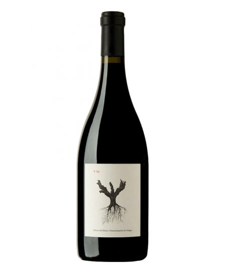 PINGUS PSI TINTO 2019